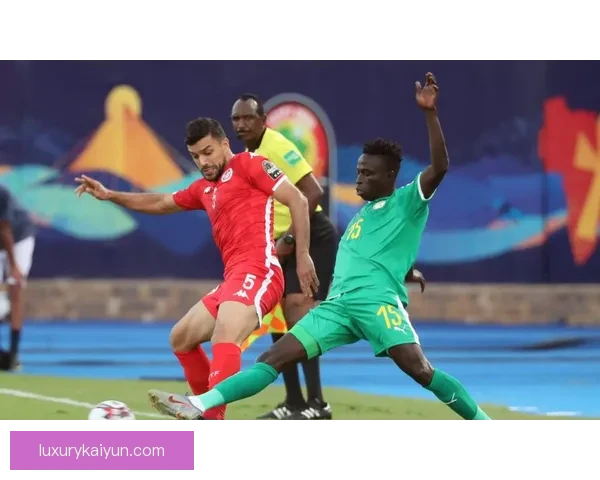 2025年非洲杯举办地确认，引发足球界广泛关注与期待