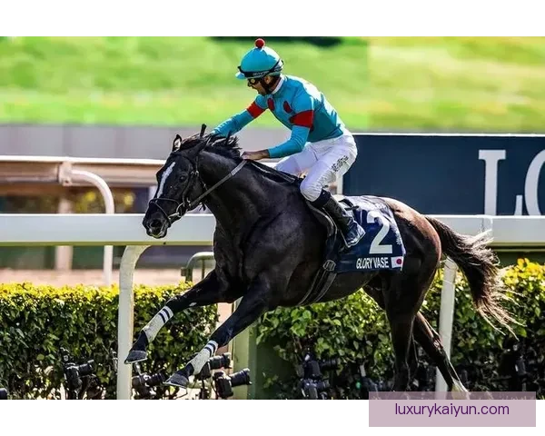 雷恩中场组织能力持续提升，表现稳健值得关注